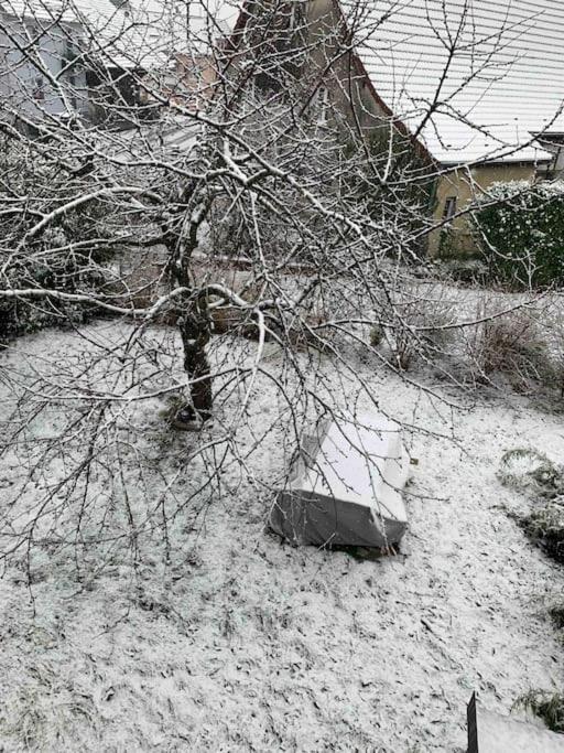 Gite Cosy Pour 2 A 4 Personnes, Village Proche Mulhouse Burnhaupt-le-Bas Exteriör bild