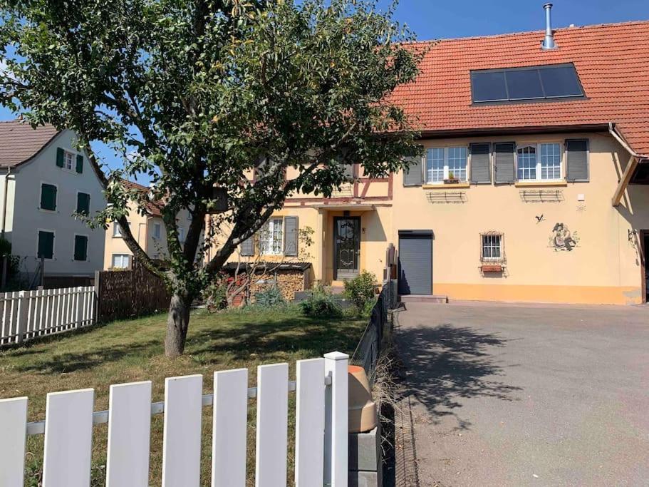 Gite Cosy Pour 2 A 4 Personnes, Village Proche Mulhouse Burnhaupt-le-Bas Exteriör bild